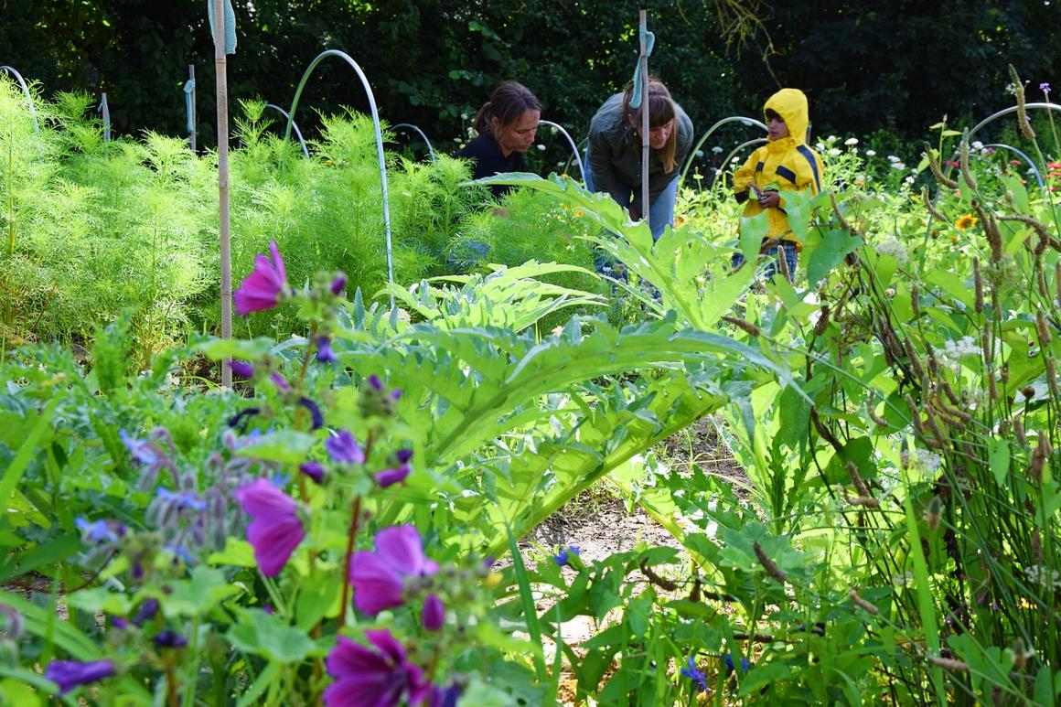  &copy; Julien Rensonnet (L’Avenir)	