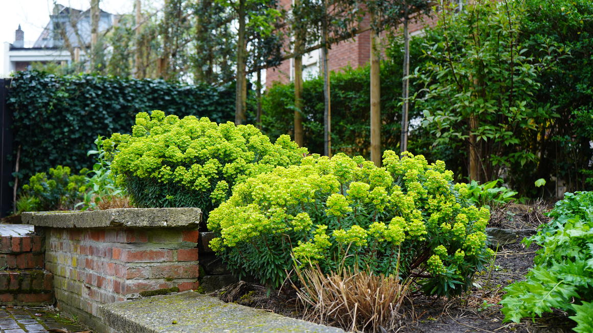  &copy; CIVA Brussels	