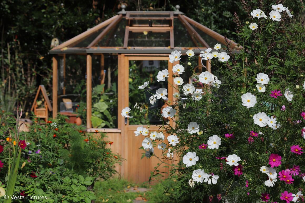  &copy; Vesta Pictures	