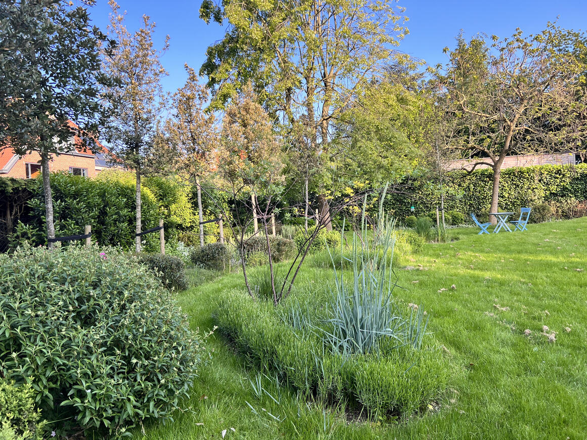  &copy; Nathalie.Devallée	