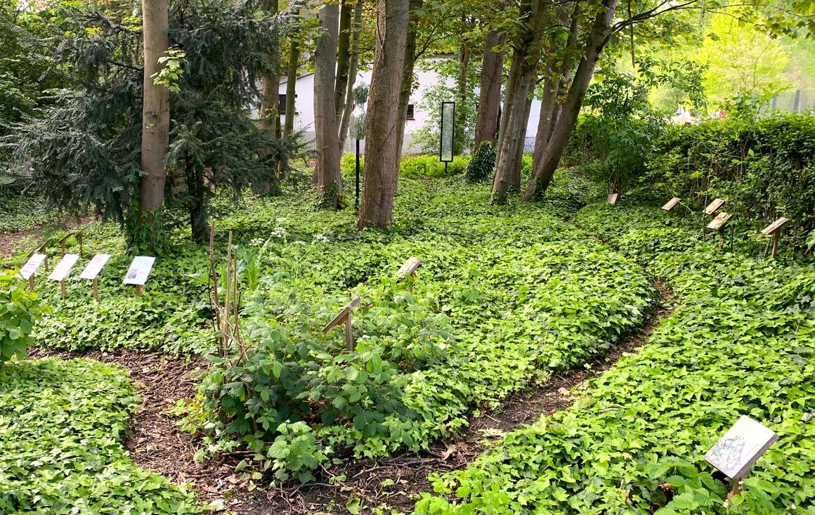  &copy; Sylvie Lechat	