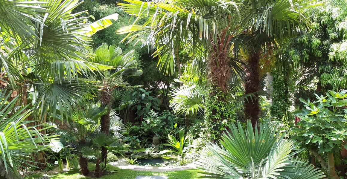  &copy; Arnaud Waefelaer	