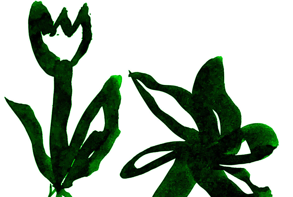  &copy; Thibault Wéry	