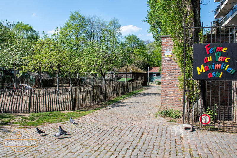  &copy; Bitten by the bug	