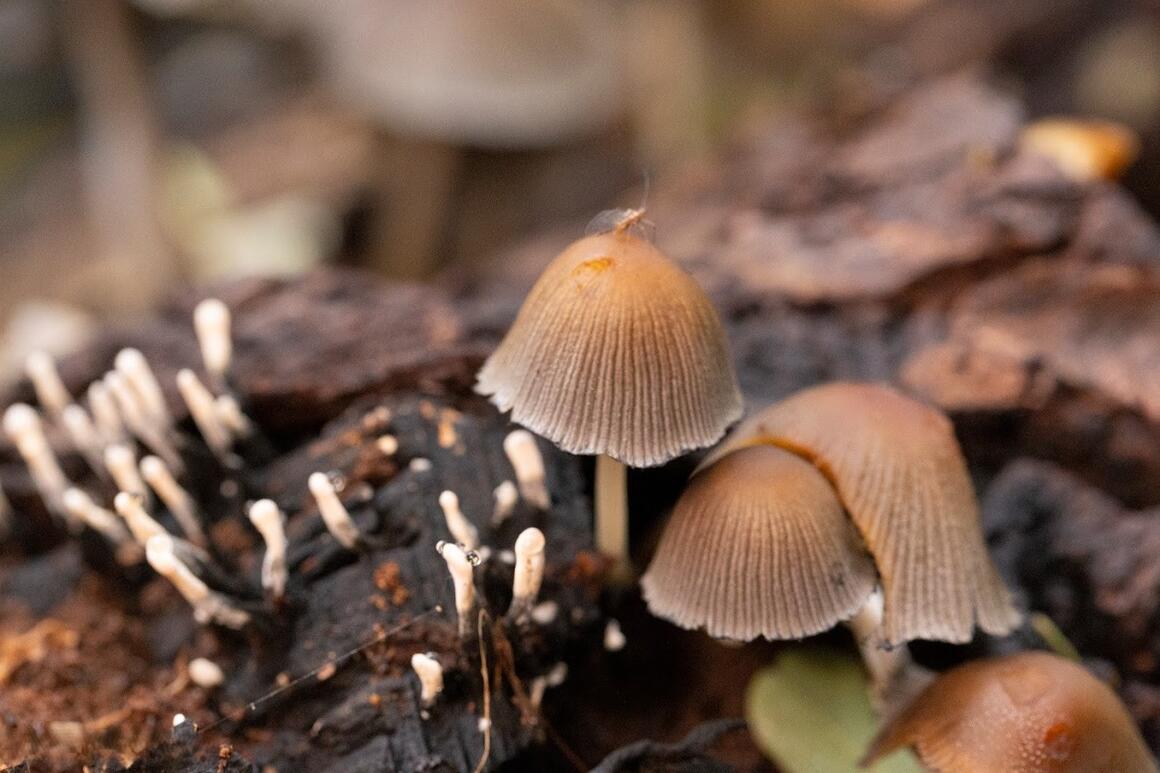  &copy; CEBE_Marc Hinderickx	