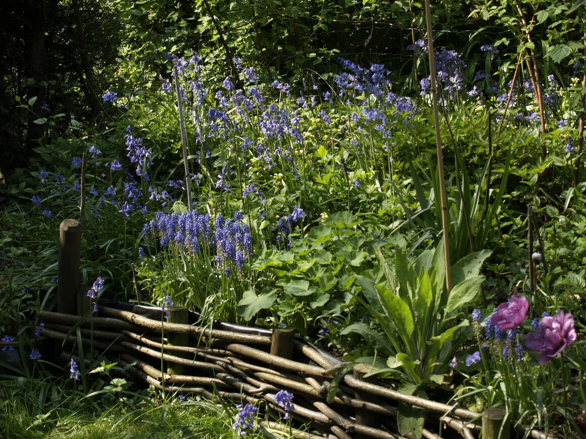  &copy; Madeleine Cools	