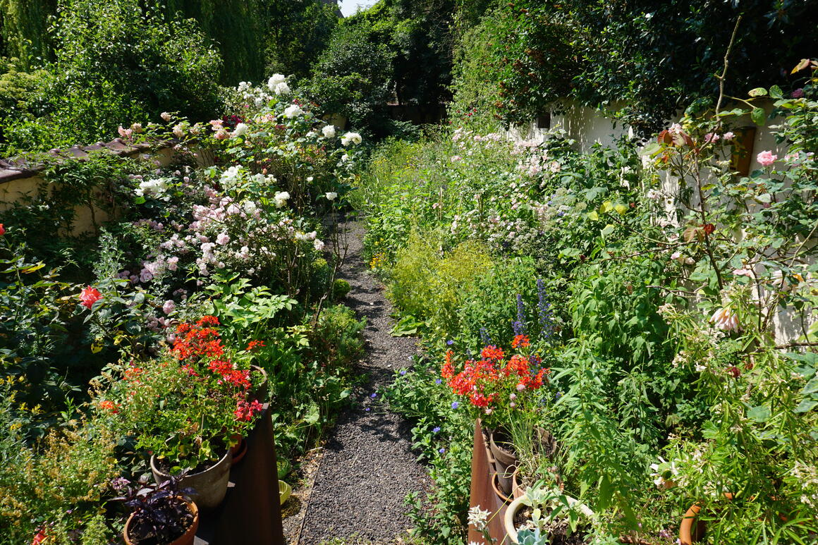  &copy; Ines-Trépant	