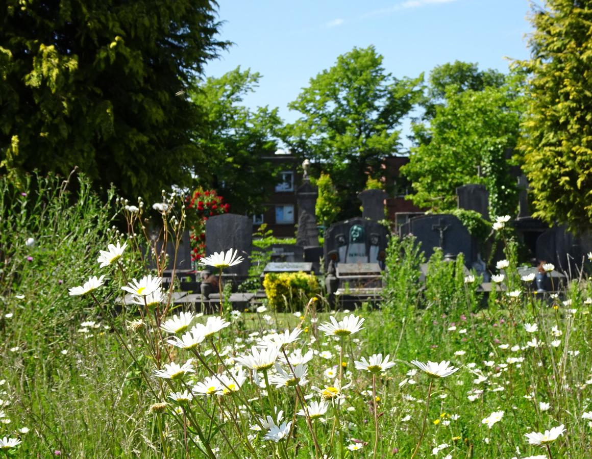  &copy; Valerie van Parijs	