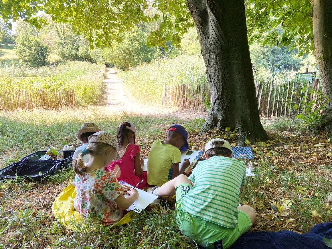  &copy; Hêtre Sauvage	