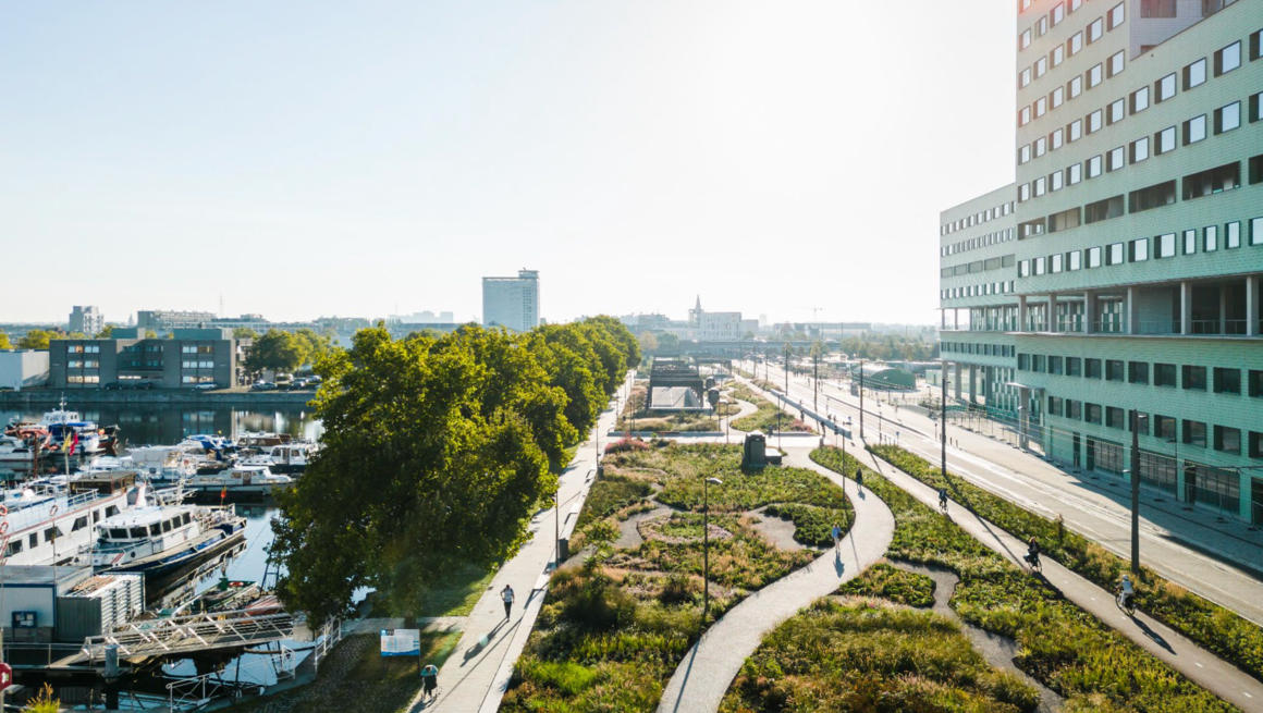 A green edge along the docks, Antwerp.<br> &copy; OMGEVING	