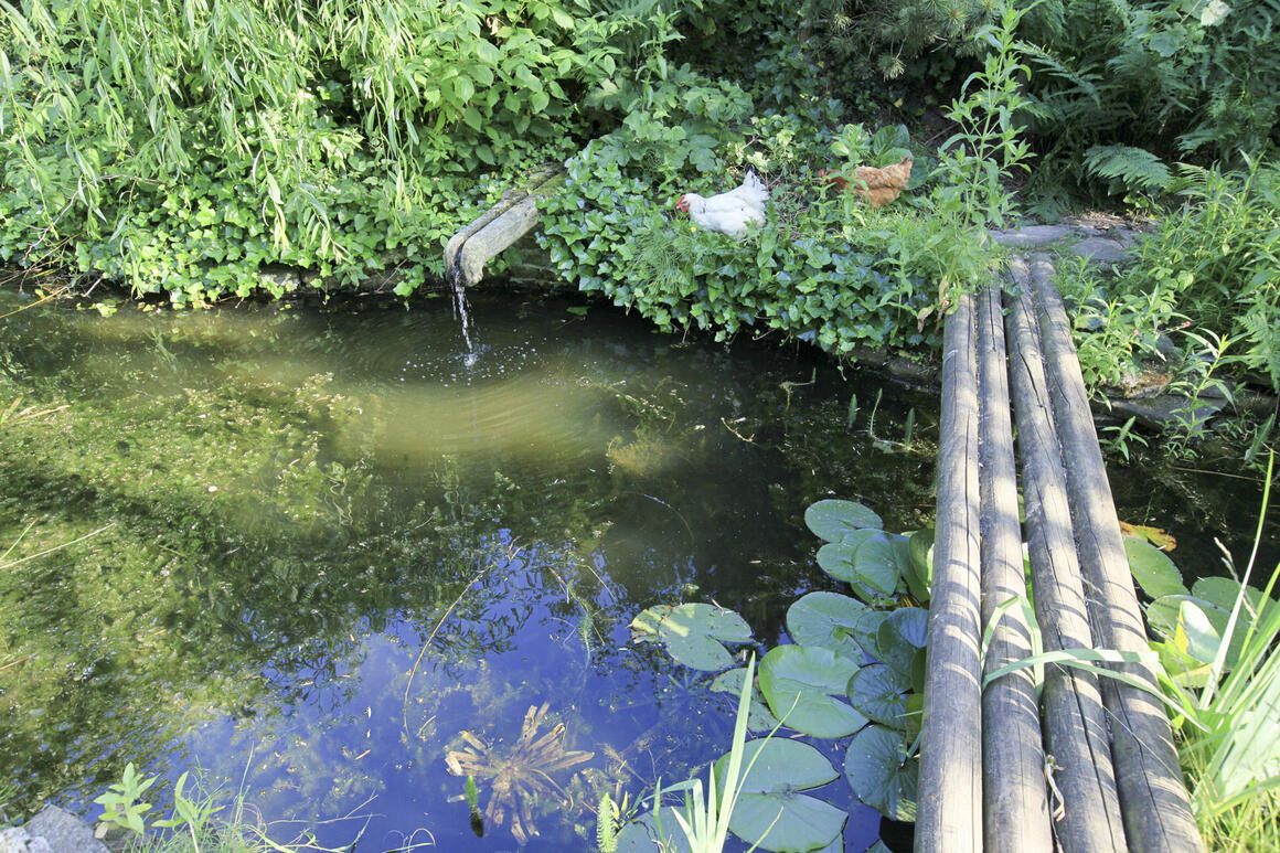  &copy; CLICKEMAILLE MICHEL	