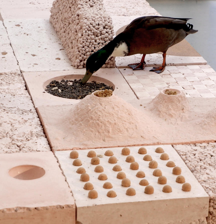  &copy; Studio Ossidiana	