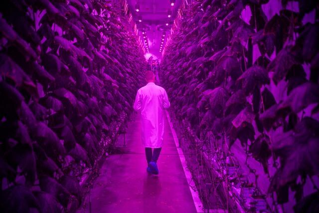  &copy; Kadir van Lohuizen/NOOR	