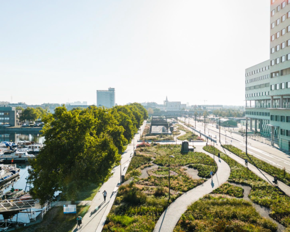A green edge along the docks, Antwerp.